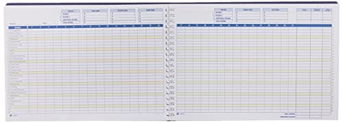 Adams Home Office Budget Book, Weekly/Monthly Format, 10 x 7 Inches, White (AFR31),ABFAFR31