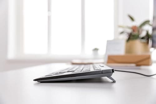 CHERRY Stream Keyboard TKL Wired USB TenKeyLess Compact Version without Number Pad. Silent Keystroke. Ideal for Office and Industrial Use.