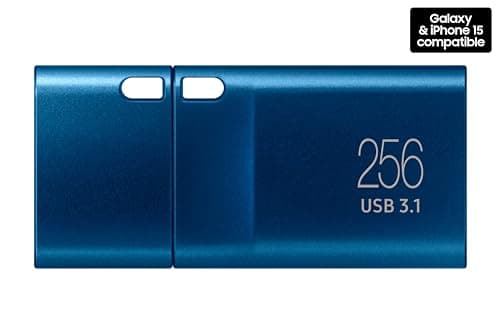 Samsung Type-C USB Flash Drive, 256GB, Transfers 4GB Files in 11 Secs w/Up to 400MB/s 3.13 Read Speeds, Compatible w/USB 3.0/2.0, Waterproof, 2022, Blue, MUF-256DA/AM