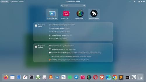 Fedora Linux 41 "Workstation" Operating System for PC on DVD