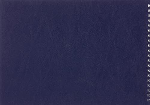 Adams Home Office Budget Book, Weekly/Monthly Format, 10 x 7 Inches, White (AFR31),ABFAFR31