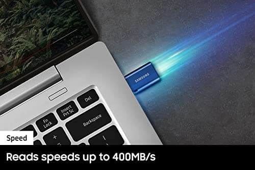 Samsung Type-C USB Flash Drive, 256GB, Transfers 4GB Files in 11 Secs w/Up to 400MB/s 3.13 Read Speeds, Compatible w/USB 3.0/2.0, Waterproof, 2022, Blue, MUF-256DA/AM