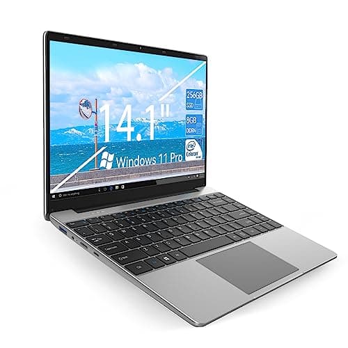 ANTEMPER 14.1 Inch Windows 11 Laptop Computer, 256GB SSD 8GB RAM, Intel Celeron N4020C(up to 2.8GHz), Full HD 1920x1080 Laptops, Mini HDMI, USB3.0, Webcam, TF Card, Type-c, 5000mAh Battery, Gray