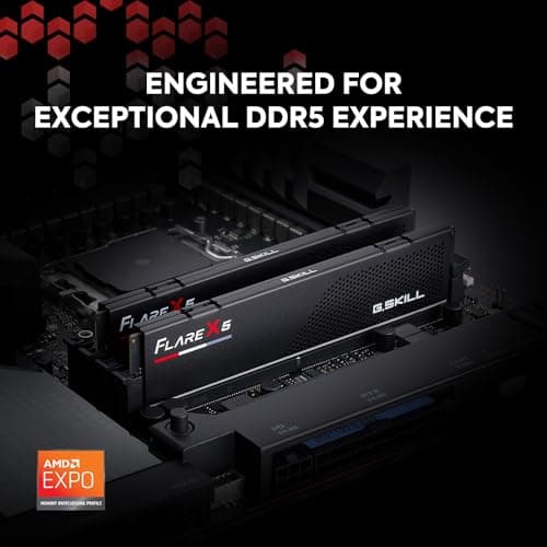 G.SKILL Flare X5 Series (AMD Expo) DDR5 RAM 64GB (2x32GB) 6000MT/s CL30-40-40-96 1.40V Desktop Computer Memory UDIMM - Matte Black (F5-6000J3040G32GX2-FX5)