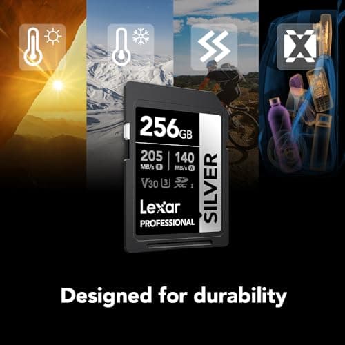 Lexar 256GB Professional Silver SD Card, UHS-I, C10, U3, V30, 4K, Up to 205/140 MB/s SDXC Memory Card, for Professional Photographer, Videographer, Enthusiast (LSDSILV256G-BNNNU)
