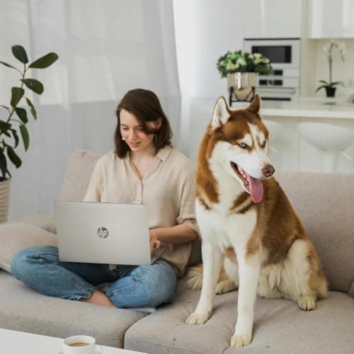 HP 2025 Pavilion 15.6 FHD (1920 x 1080) Laptop Computer • Intel 8-Cores CPU • 32GB RAM • 1TB SSD • Fast Wi-Fi 6 • Fingerprint Reader • WOWPC Recovery USB • Win 11 Home with Microsoft Office Suite
