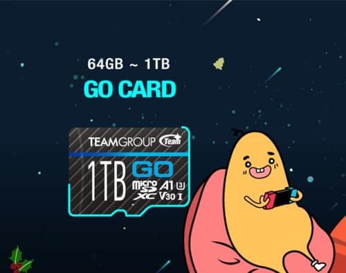 TEAMGROUP GO Card 256GB Micro SDXC UHS-I U3 V30 4K for GoPro & Action Cameras High Speed Flash Memory Card with Adapter for Outdoor, Sports, 4K Shooting TGUSDX256GU303