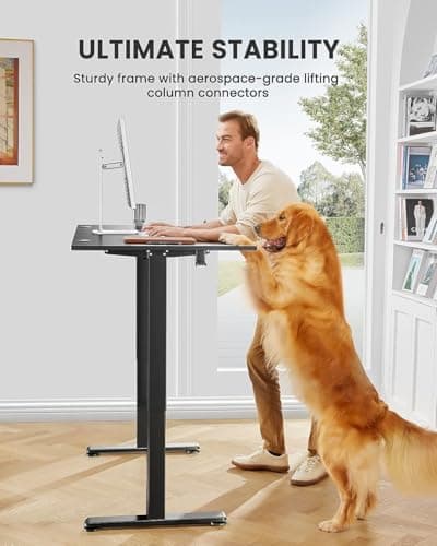 Height Adjustable Electric Standing Desk, Sit Stand up Desk, Memory Computer Home Office Desk with Two-Piece Desktop (Black, 48 * 24 Inch)