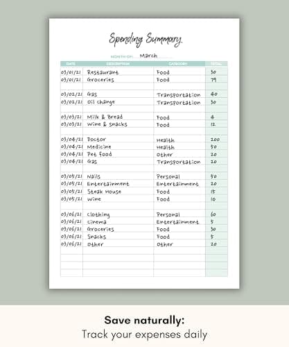 Lamare Budget Planner and Monthly Bill Organizer – Financial Planner with Expense Tracker Notebook, Debt Tracker & Budget Journal