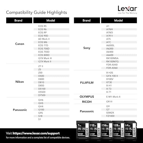 Lexar 256GB Professional Silver SD Card, UHS-I, C10, U3, V30, 4K, Up to 205/140 MB/s SDXC Memory Card, for Professional Photographer, Videographer, Enthusiast (LSDSILV256G-BNNNU)
