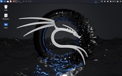 Kali Linux Latest OS for Hackers | Bootable 64 Bit Live Install USB Flash Thumb Drive | Cybersecurity Ethical Hacking and Penetration Testing | Over 600 Tools