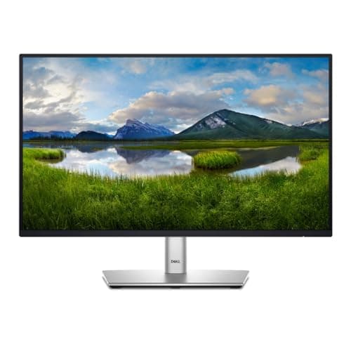 Dell 24 Monitor - P2422H - Full HD 1080p, IPS Technology, ComfortView Plus Technology