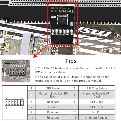 TPM 2.0 12Pin Module Chip for MSI Motherboards, Secure Boot and Data Protection for Windows 11/10