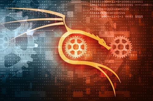 Kali Linux OS for Hackers - Bootable Live Install USB Flash Thumb Drive - Cybersecurity Hacking Tools and Penetration Testing + Gift Packaging Box