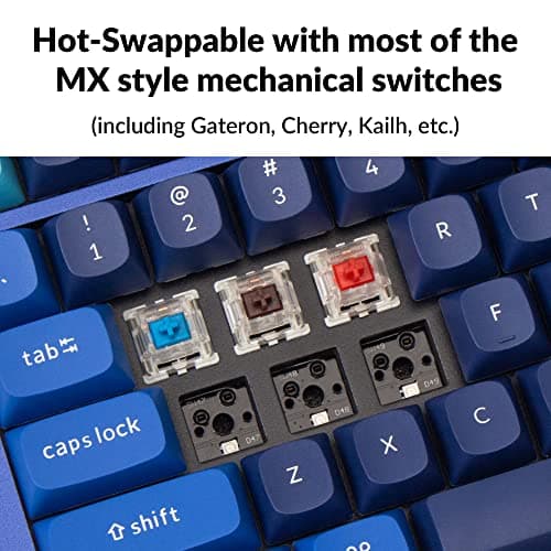Keychron Q5 RGB QMK/VIA Programmable Macro Wired Custom Mechanical Keyboard with Hot-Swappable Gateron G Pro Red Switch, 96% Layout Full Aluminum Double Gasket for Mac Windows Linux(Blue)