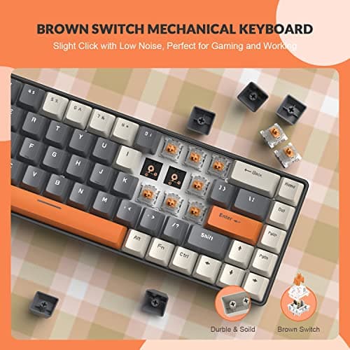 ZIYOU LANG RK-T8 Wired 65% Mechanical Gaming Keyboard with RGB LED Backlit Anti-ghosting TKL Mini 68 Key Custom Coiled C to A Cable Tactile Brown Switch for PS4 PS5 Xbox PC Mac Gamer(White/Dark Gray)