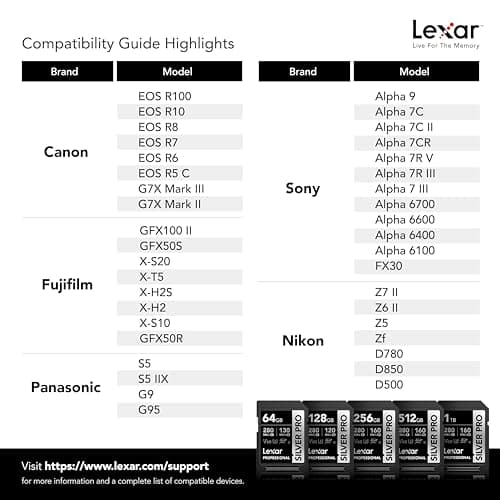 Lexar 128GB (2-PK) Professional SILVER PRO SD Card, UHS-II, C10, U3, V60, Full HD, 4K, Up To 280MB/s Read SDXC Memory Card, for Professional Photographer, Videographer, Enthusiast (LSDSIPR128G-B2NNU)