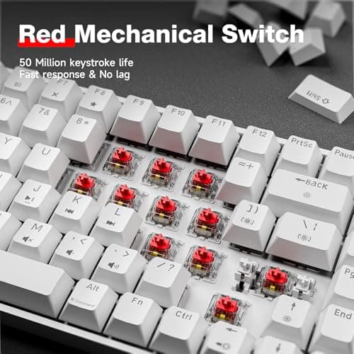 TMKB T84SE Gaming Keyboard, 75% Mechanical Gaming Keyboard with Linear Red Switch, Ice Blue LED Backlit, Detachable USB-C, Full Anti-Ghosting for Gaming/Typing/PC/Laptop/Win/Mac, US Layout, White