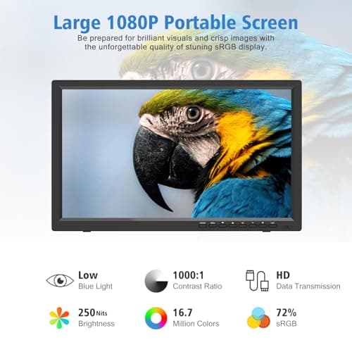 15.6-inch HD LED Monitor for Office and Home use