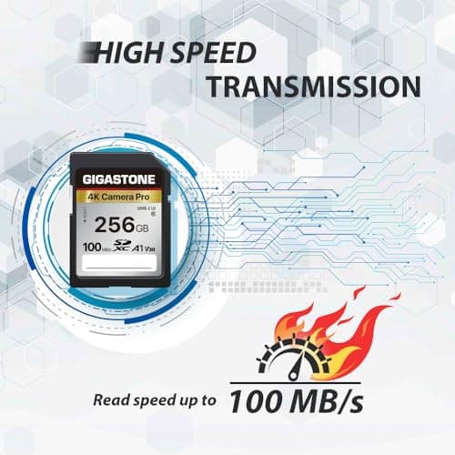 [5-Yrs Free Data Recovery] GIGASTONE 256GB Memory Card 4K Pro Series Speed Up to 100MB/s Compatible with Canon Nikon Sony Camcorder, A1 V30 UHS-I