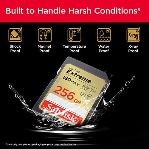 SanDisk 256GB Extreme SDXC UHS-I Memory Card - C10, U3, V30, 4K, UHD, SD Card - SDSDXVV-256G-GNCIN