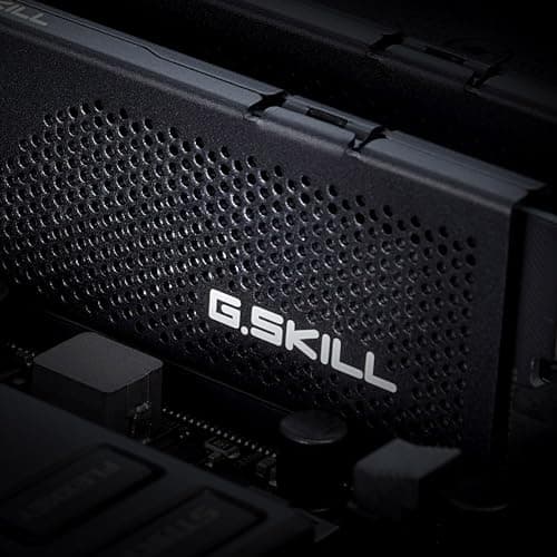 G.SKILL Flare X5 Series (AMD Expo) DDR5 RAM 64GB (2x32GB) 6000MT/s CL30-40-40-96 1.40V Desktop Computer Memory UDIMM - Matte Black (F5-6000J3040G32GX2-FX5)