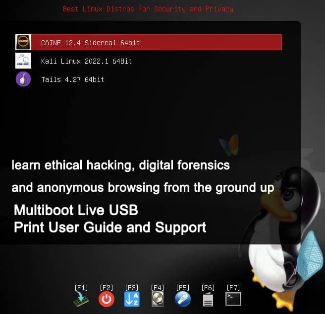 USB for Kali Linux 2024,Tails 6.4,Caine 13 | 3IN1 Bootable USB Flash Drive | Ethcial Hacking Tools,Digital Forensics Tools,Anonymous Browsing