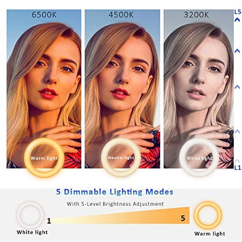 Video Conference Lighting Kit, Ring Light for Monitor Clip On,for Remote Working, Distance Learning,Zoom Call, Self Broadcasting and Live Streaming, Computer Laptop Video Conferencing