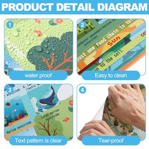 Pasimy 11 Pcs Science Posters for Classroom Ecosystems Teaching Poster Ecosystems Biological Food Chain Bulletin Board for Classroom Decoration Teacher Middle High School Educational Library Home