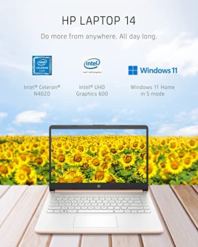 HP 14 Laptop, Intel Celeron N4020, 4 GB RAM, 64 GB Storage, 14-inch Micro-edge HD Display, Windows 11 Home, Thin & Portable, 4K Graphics, One Year of Microsoft 365 (14-dq0030nr, Pale Rose Gold)
