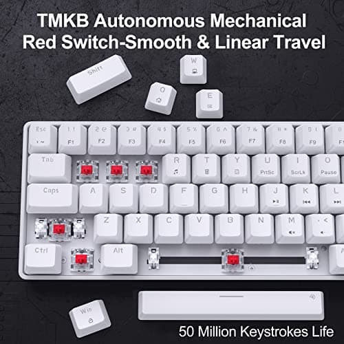 DIERYA T68SE 60% Gaming Mechanical Keyboard,Ultra Compact Mini 68 Key with Red Switches Wired Keyboard,Anti-Ghosting Keys, for Windows Laptops and PC Gamers,White