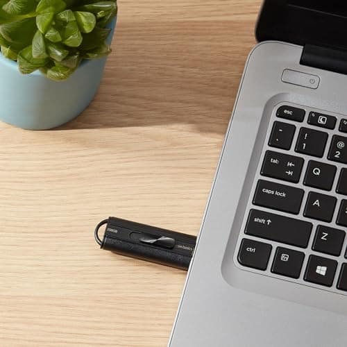 Amazon Basics 256 GB Ultra Fast USB 3.1 High Capacity Flash Drive for Data Transfer and Storage, Black