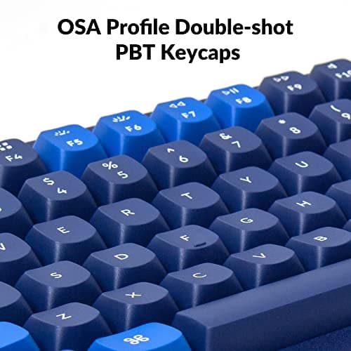 Keychron Q5 RGB QMK/VIA Programmable Macro Wired Custom Mechanical Keyboard with Hot-Swappable Gateron G Pro Red Switch, 96% Layout Full Aluminum Double Gasket for Mac Windows Linux(Blue)