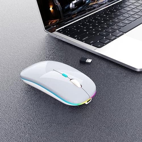 Wireless Bluetooth Mouse Rechargeable Laptop Mice with LED Use Portable(BT5.2 and USB 2.4G) Dual Mode Connection Silent Slim Computer Mouse for Laptop/iPad Tablet/Apple MacBook/PC(Silver)
