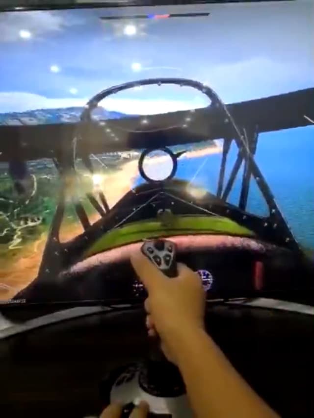 PC Joystick, USB Gaming Flight Simulator Game Controller with Vibration Function and Throttle Control, PXN 2113 Wired Gamepad Flight Sim Stick for Windows PC/Computer