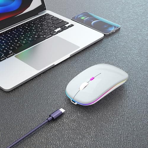 Wireless Bluetooth Mouse Rechargeable Laptop Mice with LED Use Portable(BT5.2 and USB 2.4G) Dual Mode Connection Silent Slim Computer Mouse for Laptop/iPad Tablet/Apple MacBook/PC(Silver)