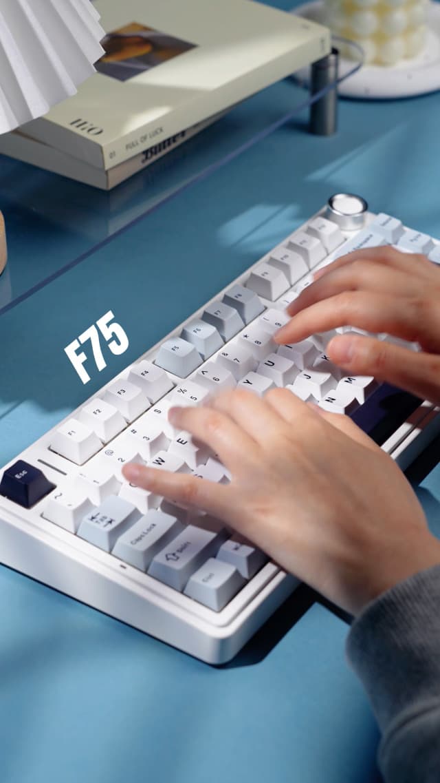 EPOMAKER x Aula F75 Gasket Mechanical Keyboard, 75% Wireless Hot Swappable Gaming Keyboard with Five-Layer Padding&Knob, Bluetooth/2.4GHz/USB-C, RGB (Light Blue, LEOBOG Reaper Switch)