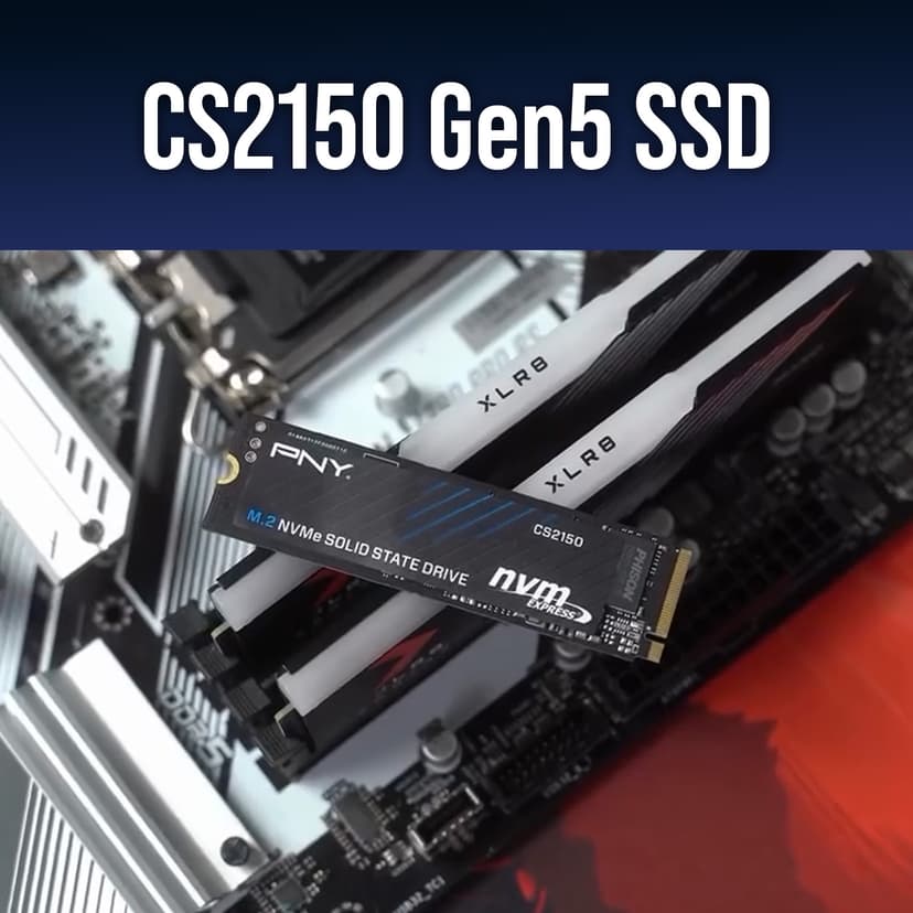 PNY CS2150 1TB Gen5 PCIe NVMe M.2 2280 3D NAND SSD – Up to 10,200/8,300 MBs - PC/Laptop Upgrade, Gaming, Photography, Video Editing, Direct Storage Enabled-Internal Solid-State Drive M280CS2150-1TB-TB