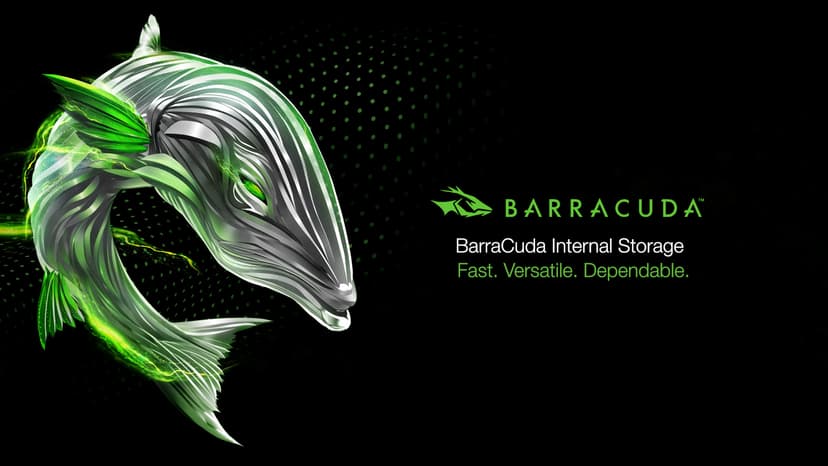 Seagate BarraCuda 4TB Internal Hard Drive HDD – 3.5 Inch Sata 6 Gb/s 5400 RPM 256MB Cache For Computer Desktop PC – Frustration Free Packaging ST4000DMZ04/DM004
