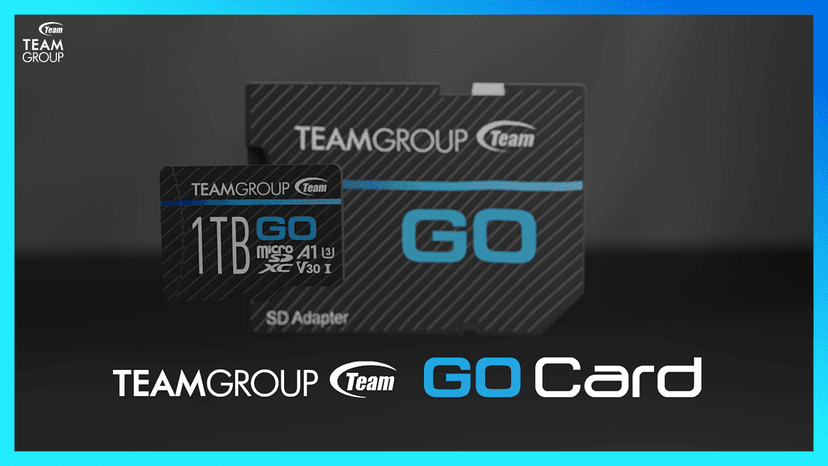 TEAMGROUP GO Card 256GB Micro SDXC UHS-I U3 V30 4K for GoPro & Action Cameras High Speed Flash Memory Card with Adapter for Outdoor, Sports, 4K Shooting TGUSDX256GU303