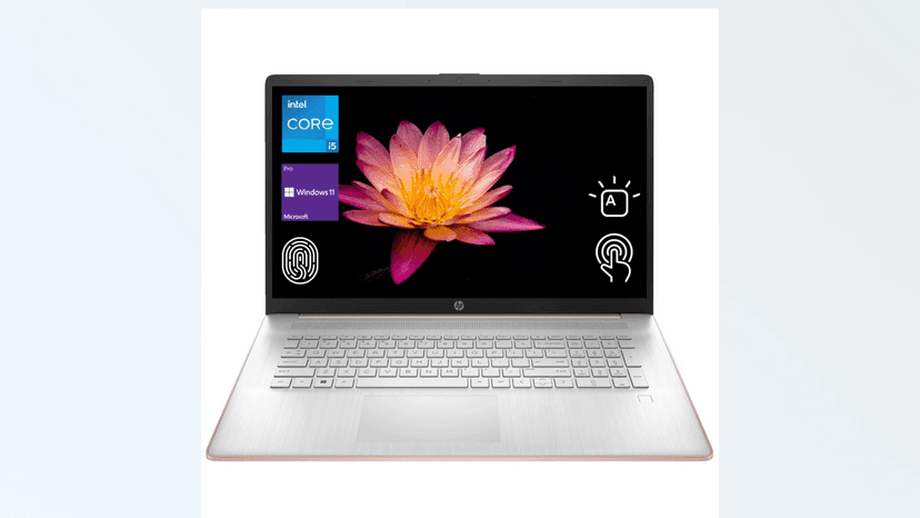 HP 2025 17t Business Professional Rose Gold Laptop, 17.3" HD+ Touchscreen, Intel Core i5-1335U, 32GB RAM, 1TB SSD, Webcam, FP Reader, Backlit KB, HDMI, Wi-Fi 6, Windows 11 Pro