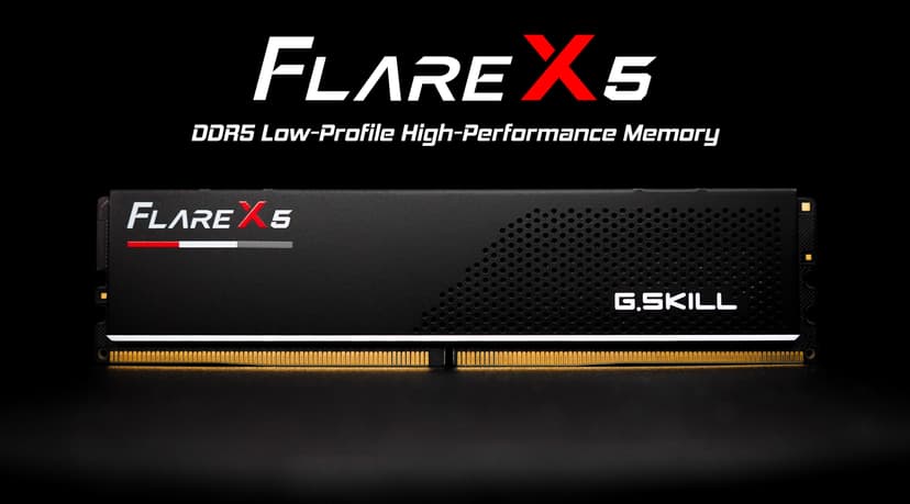 G.SKILL Flare X5 Series (AMD Expo & Intel XMP 3.0) DDR5 RAM 64GB (2X 32GB) 6000MT/s CL36-36-36-96 1.35V Desktop Computer Memory U-DIMM - Matte Black (F5-6000J3636F32GX2-FX5)
