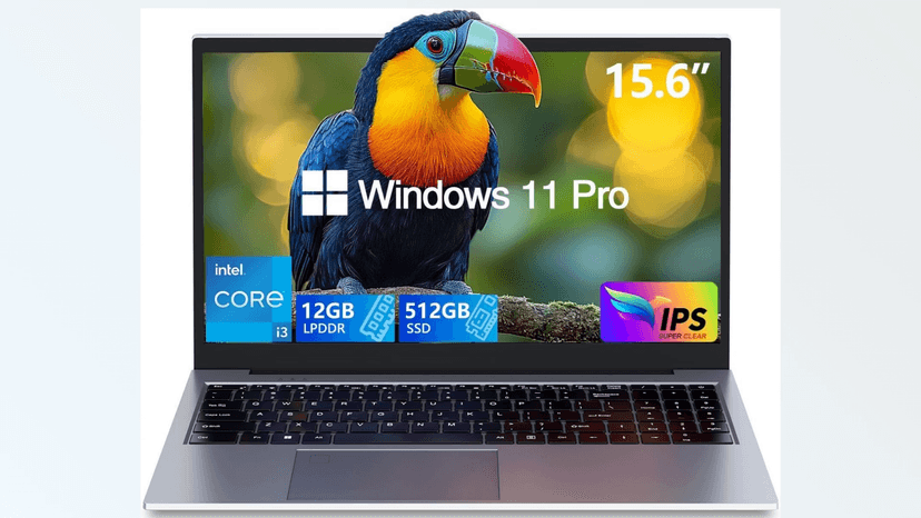 Gaming Laptops,Gaming Computer,Core i3 2 Cores 4 Threads (Upto 3.2GHz) Processor,15.6"FHD Display 1920X1080IPS,12GB DDR4 512GB SSD,180° Vieing Angle,Aluminum Body,WiFi/BT,Backlit Keyboard,SilverGray.