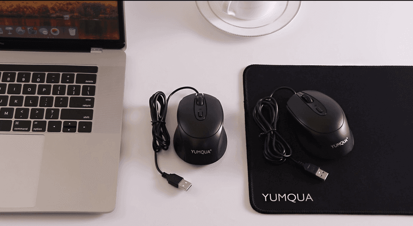 G222 Silent Computer Mouse - 2 Pack Wired Optical USB Mouse, 800/1200 DPI, Home & Office, Desktop & Laptop PC & Chromebook