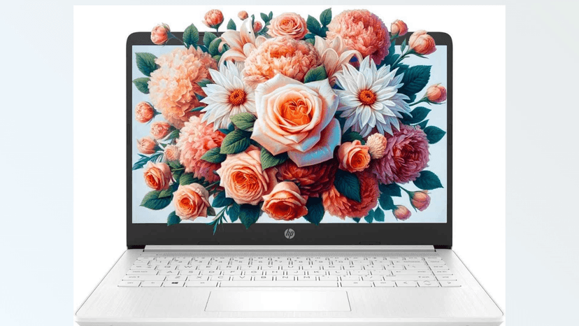 HP 14in Schools and Business Laptop, Intel Quad-Core N4120 CPU, 16GB RAM, 64GB eMMC, 256GB Micro SD, 1-Y Office 365, Webcam, HDMI, WiFi, Win 11 S(White)