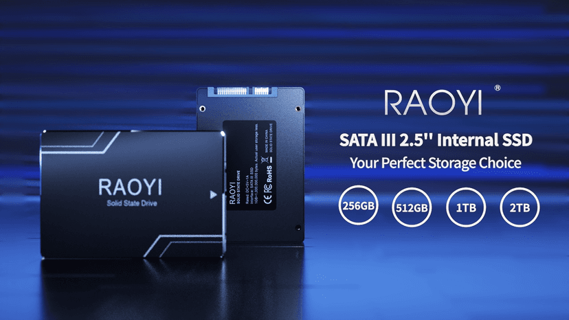 RAOYI 512GB Internal SSD SATA III 6Gb/s 2.5” Solid State Drive 3D NAND Flash Advanced SSD Hard Drive Up to 550MB/s SATA 3 SSD Upgrade Performance for PC Laptop
