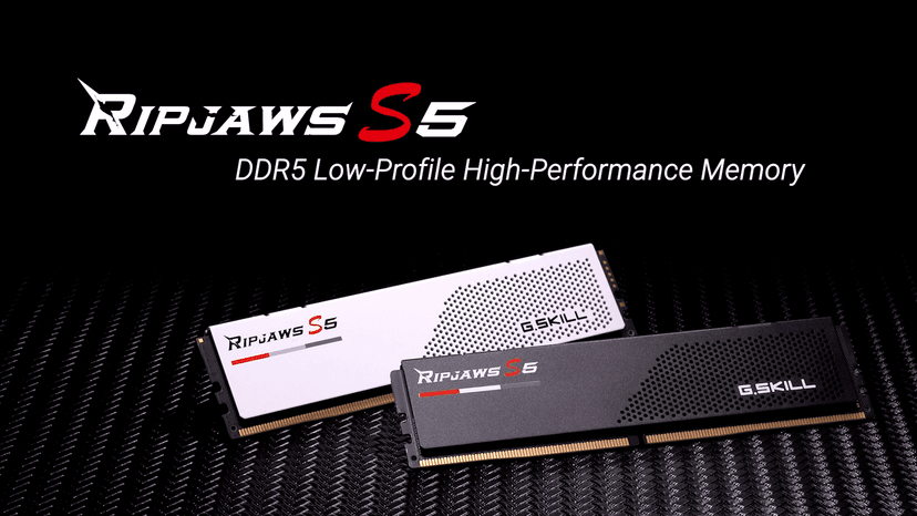 G.SKILL Ripjaws S5 Series (Intel XMP 3.0) DDR5 RAM 64GB (2x32GB) 5600MT/s CL30-36-36-89 1.25V Desktop Computer Memory UDIMM - Matte Black (F5-5600J3036D32GA2-RS5K)