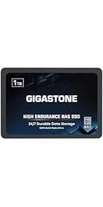 Gigastone 1TB NAS SSD Drive (2-Pack) 24/7 Durable TLC High Endurance RAID Data Storage Network Attached Storage 2.5" SATA Internal Solid State Hard Drives