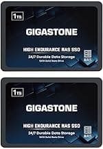 Gigastone 1TB NAS SSD Drive (2-Pack) 24/7 Durable TLC High Endurance RAID Data Storage Network Attached Storage 2.5" SATA Internal Solid State Hard Drives