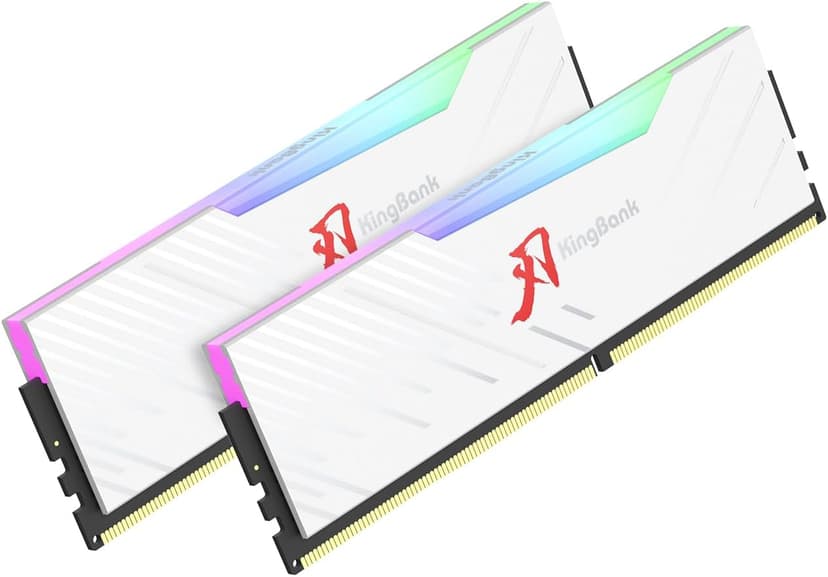 RGB Desktop Computer Memory Ram DDR4 16GB(2x8GB) 3200MHz 1.35V CL16 XMP2.0 Overclocking with Heatsink for Desktop Computer Gaming/Office/PS